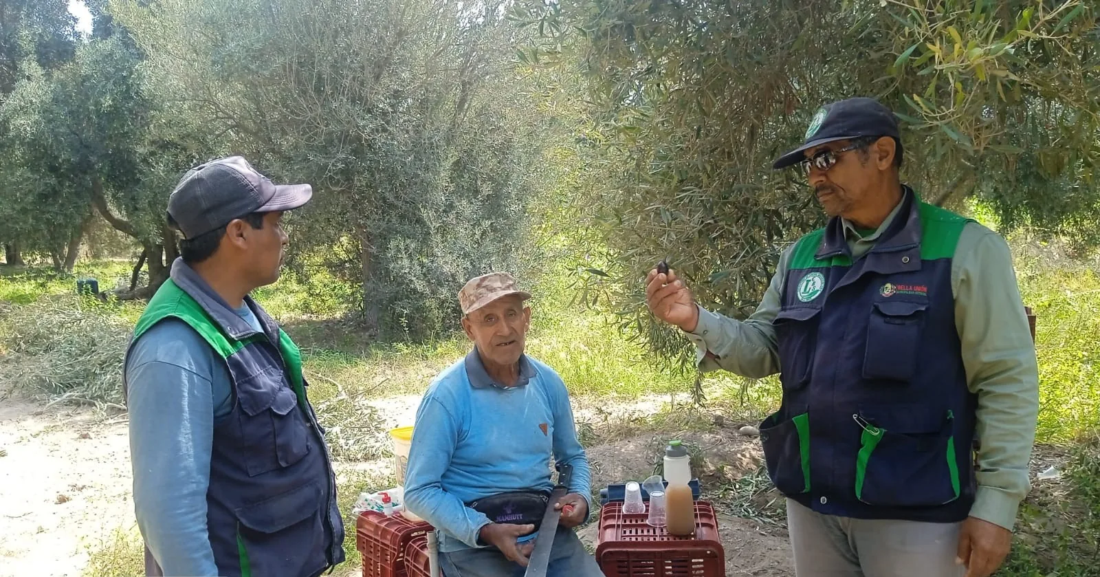 Agricultores beneficiarios